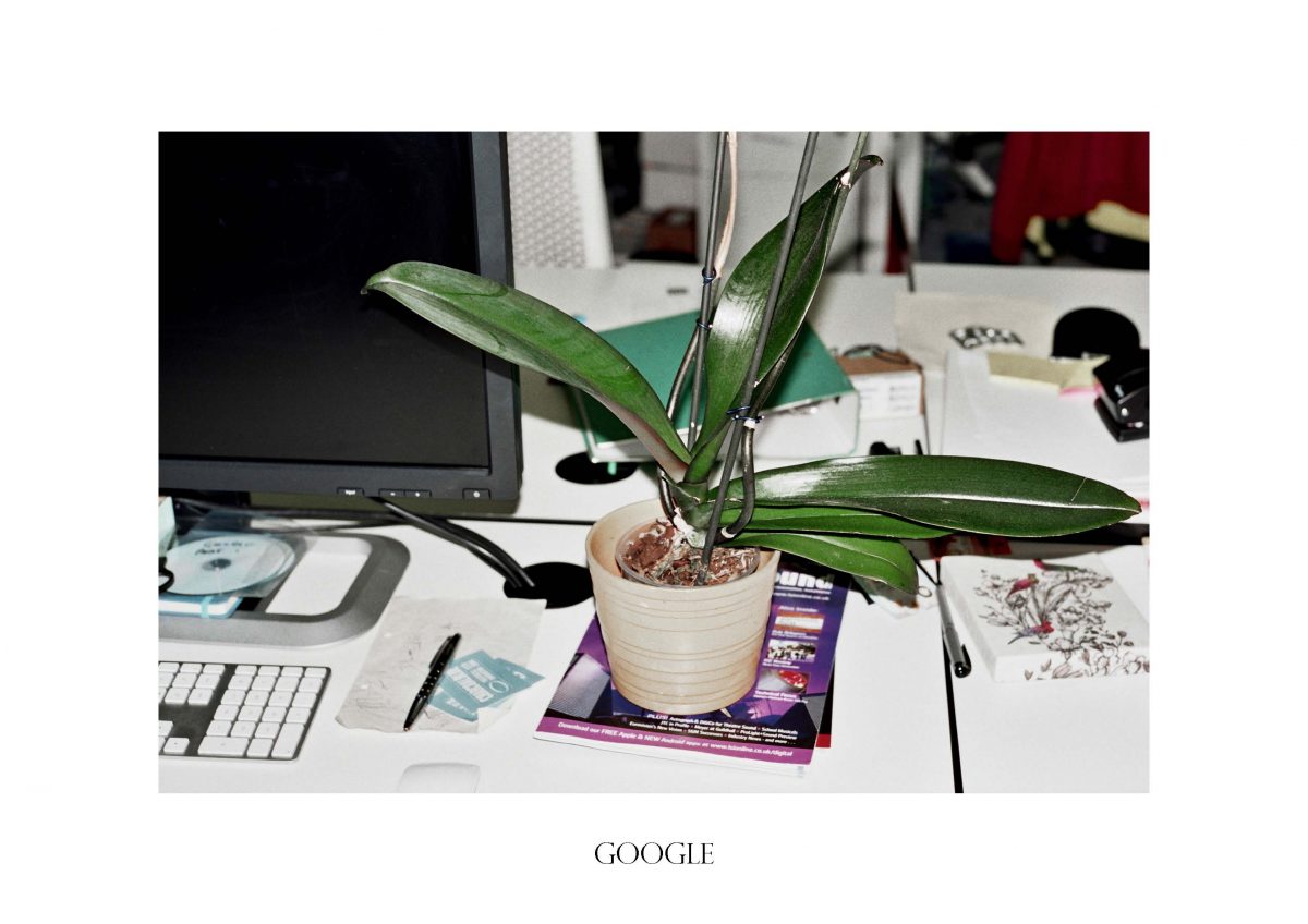 GOOGLE_pollybrown_fisheyelemag