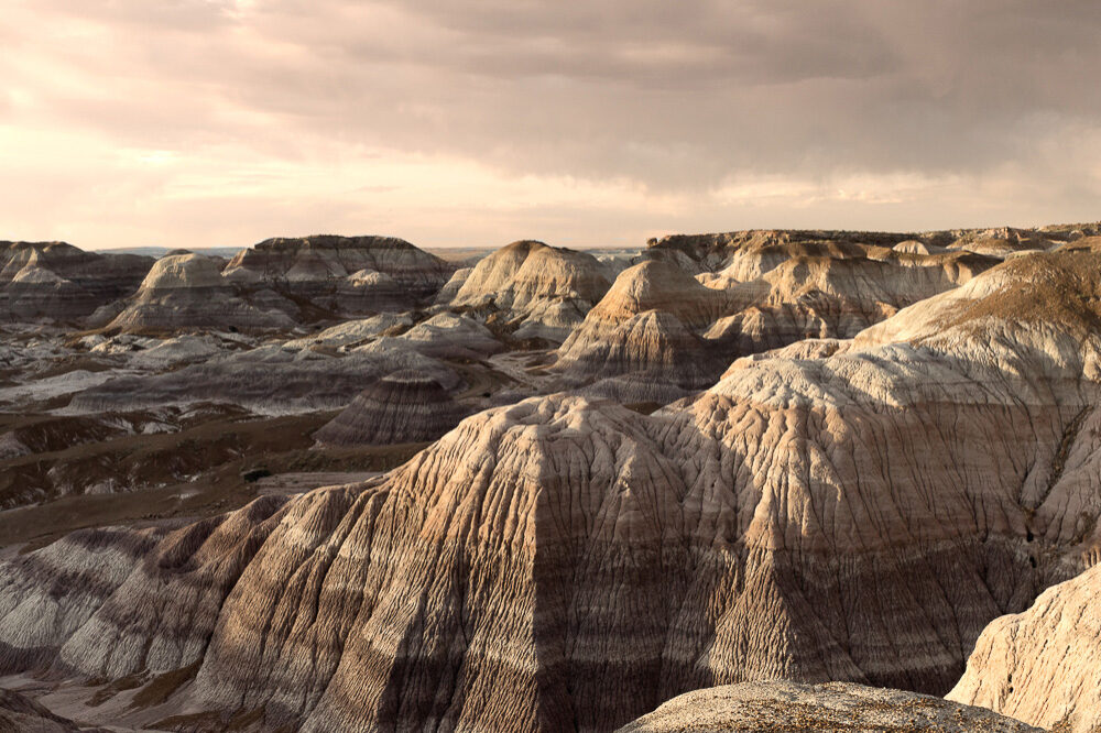 Fisheye Magazine | Greetings from Mars