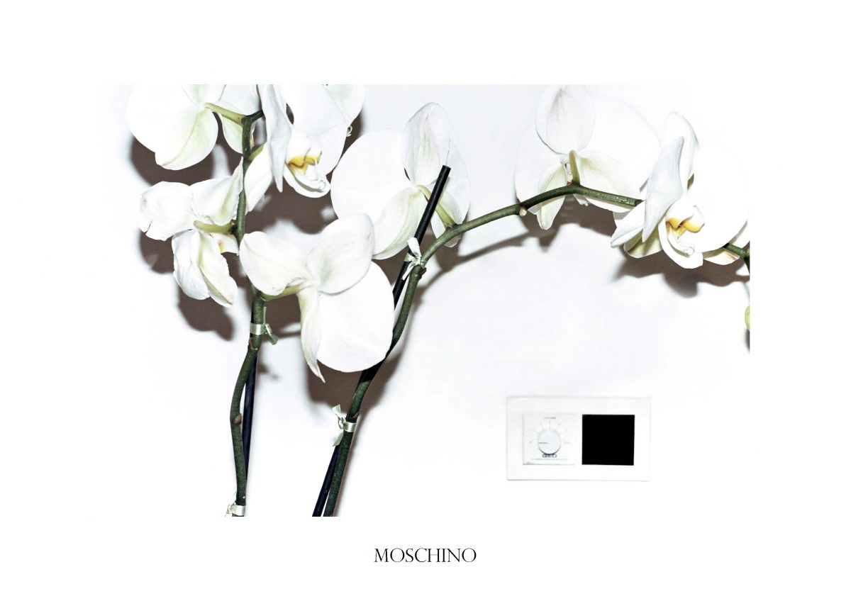 MOSCHINO_pollybrown_fisheyelemag