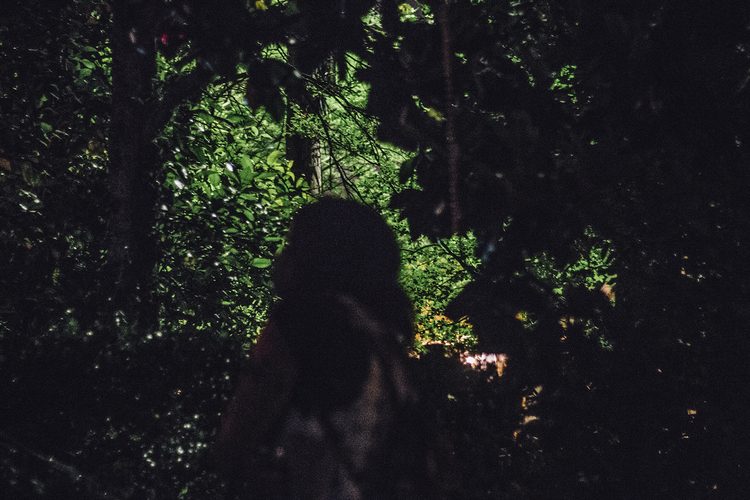 © Marie-Laure Louis