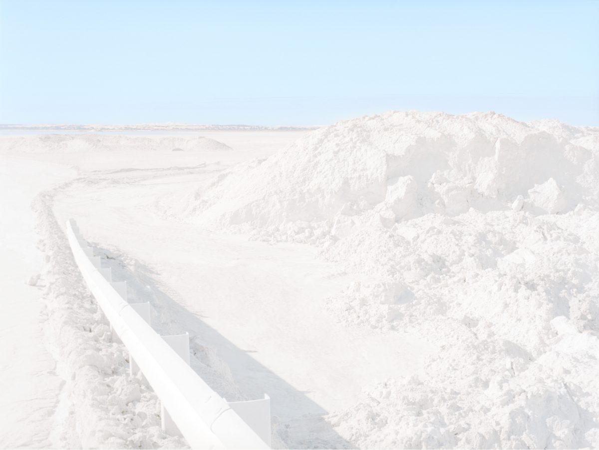 Fisheye Magazine | SALT