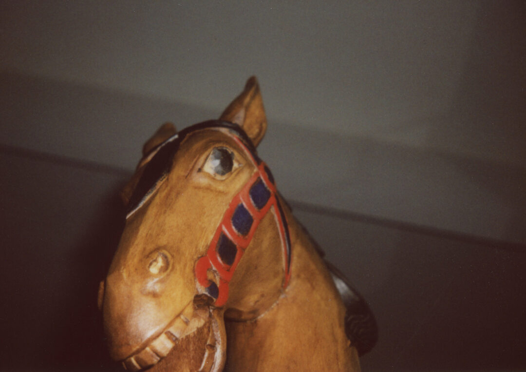 SandraFastre_image2