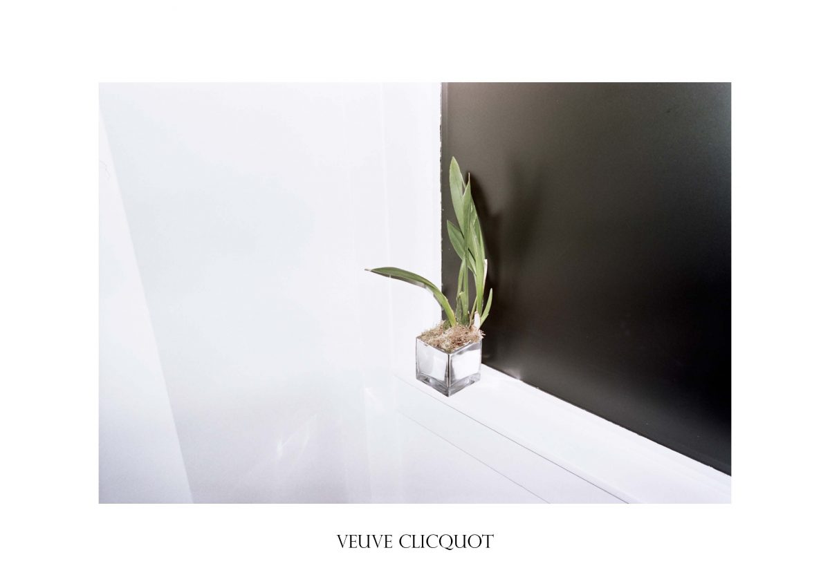 VEUVE CLICQUOT_pollybrown_fisheyelemag
