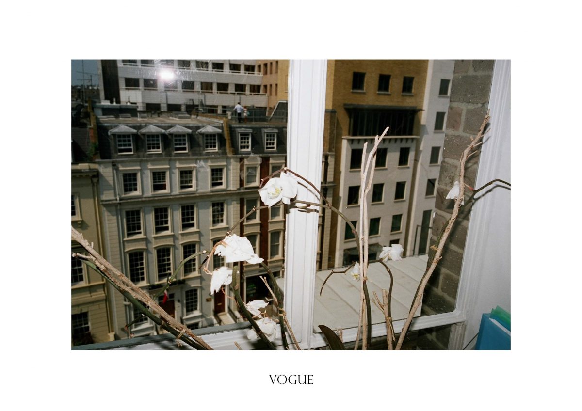 VOGUE_pollybrown_fisheyelemag