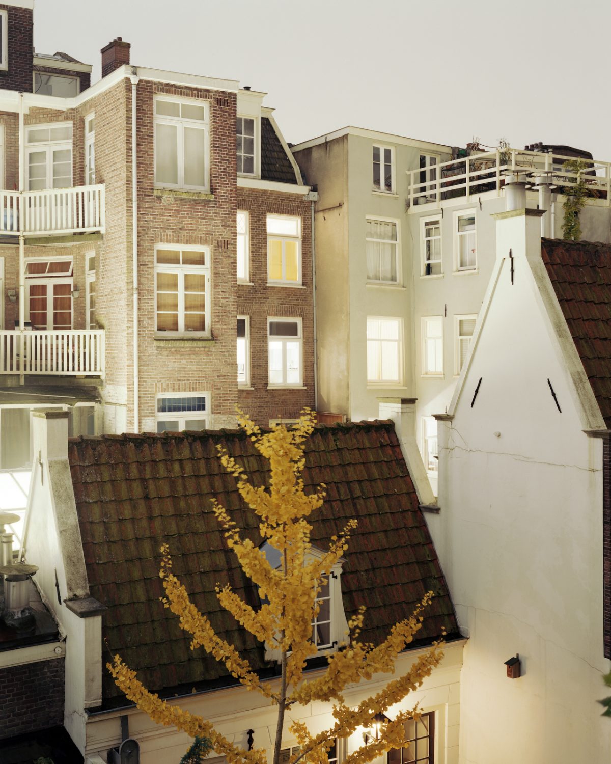 Fisheye Magazine | Rear Window