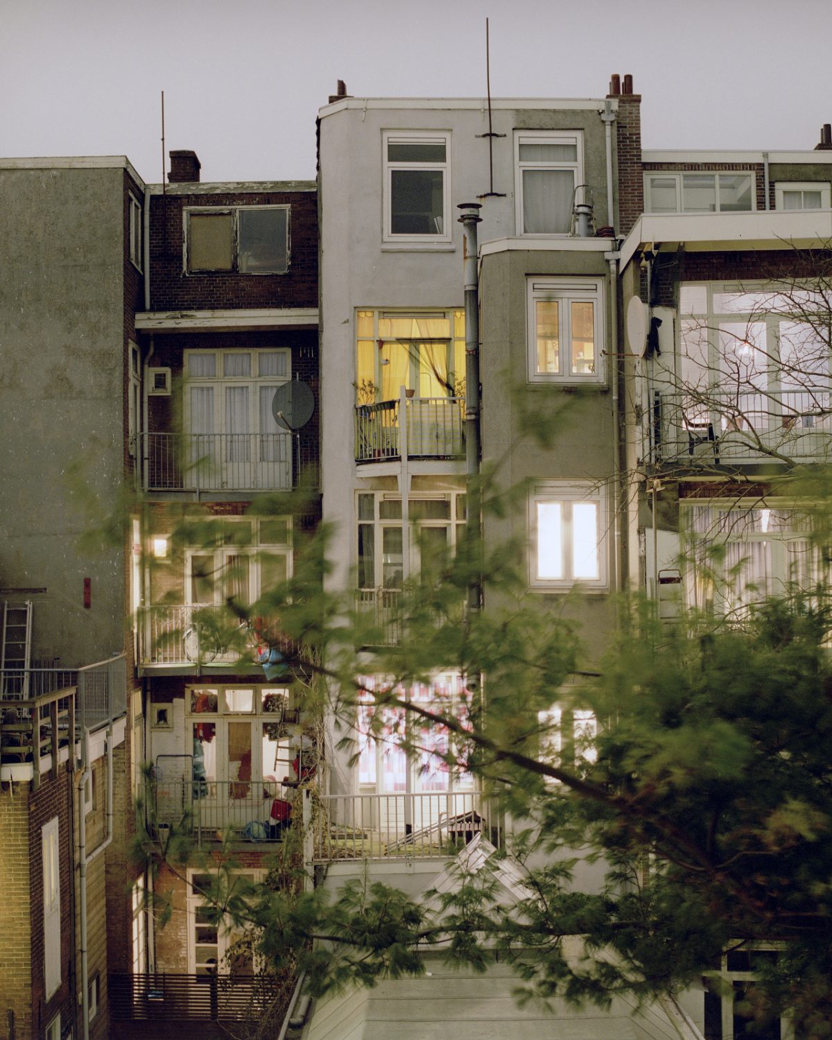 Fisheye Magazine | Rear Window
