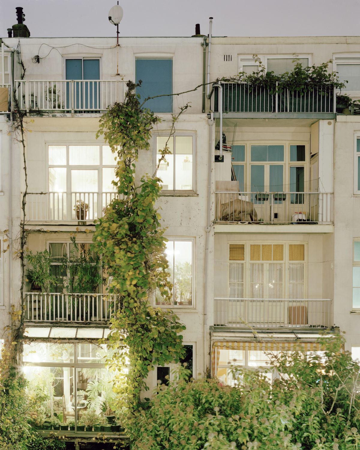 Fisheye Magazine | Rear Window