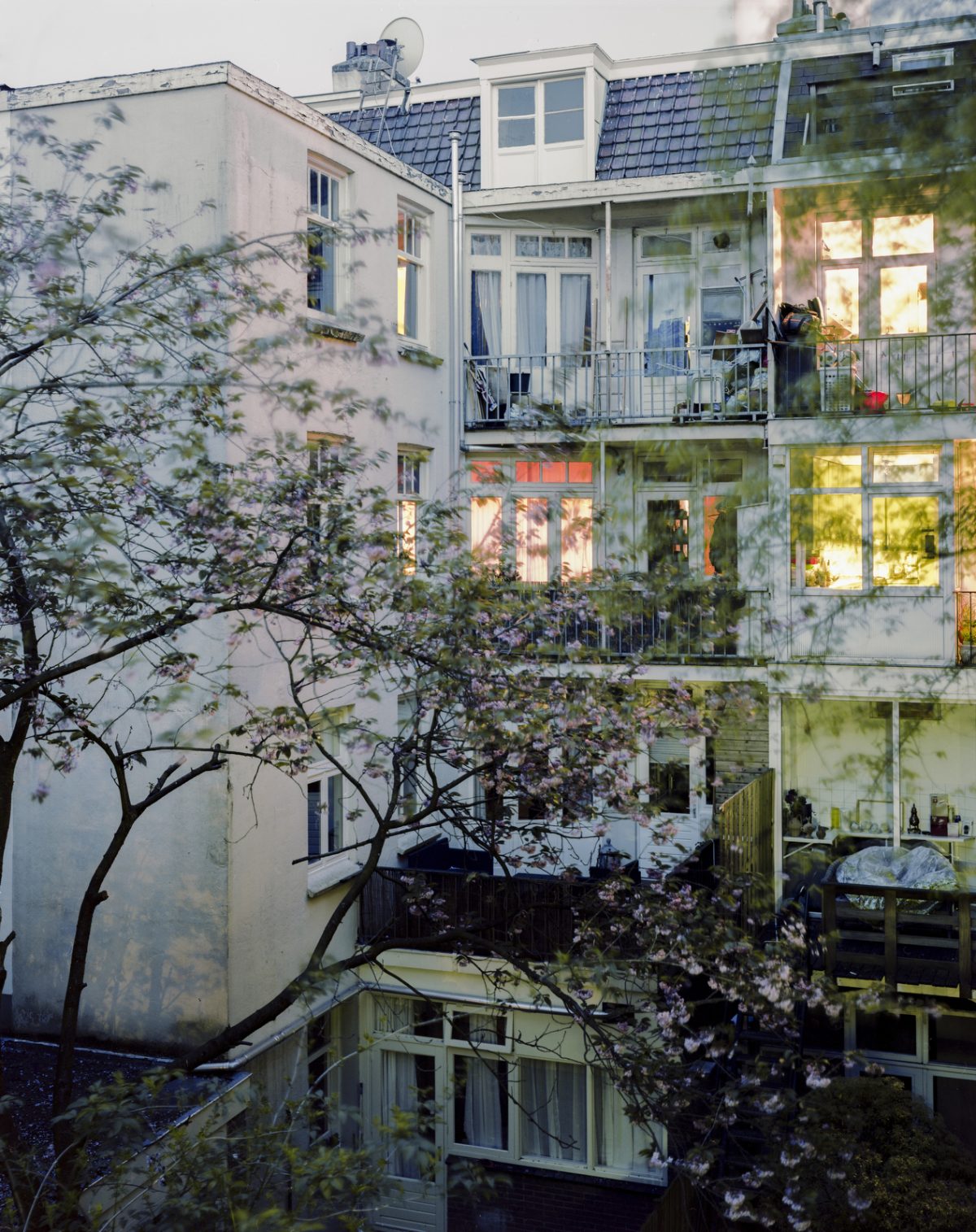 Fisheye Magazine | Rear Window