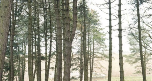 Fisheye Magazine | L'obstination du paysage