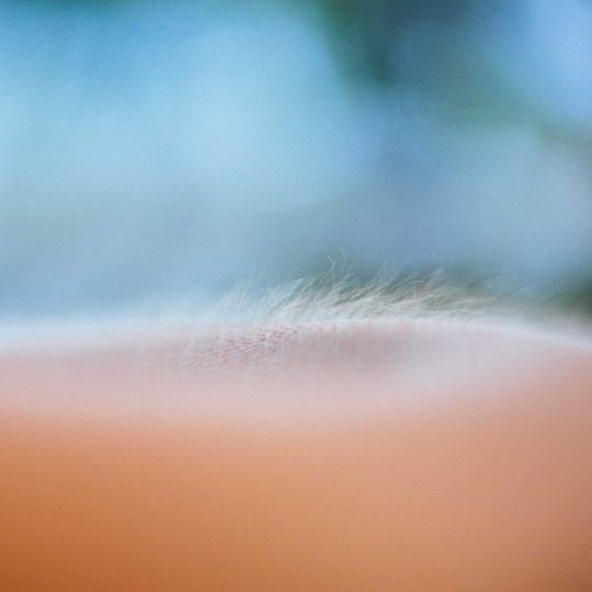 © Keryan Sorton 