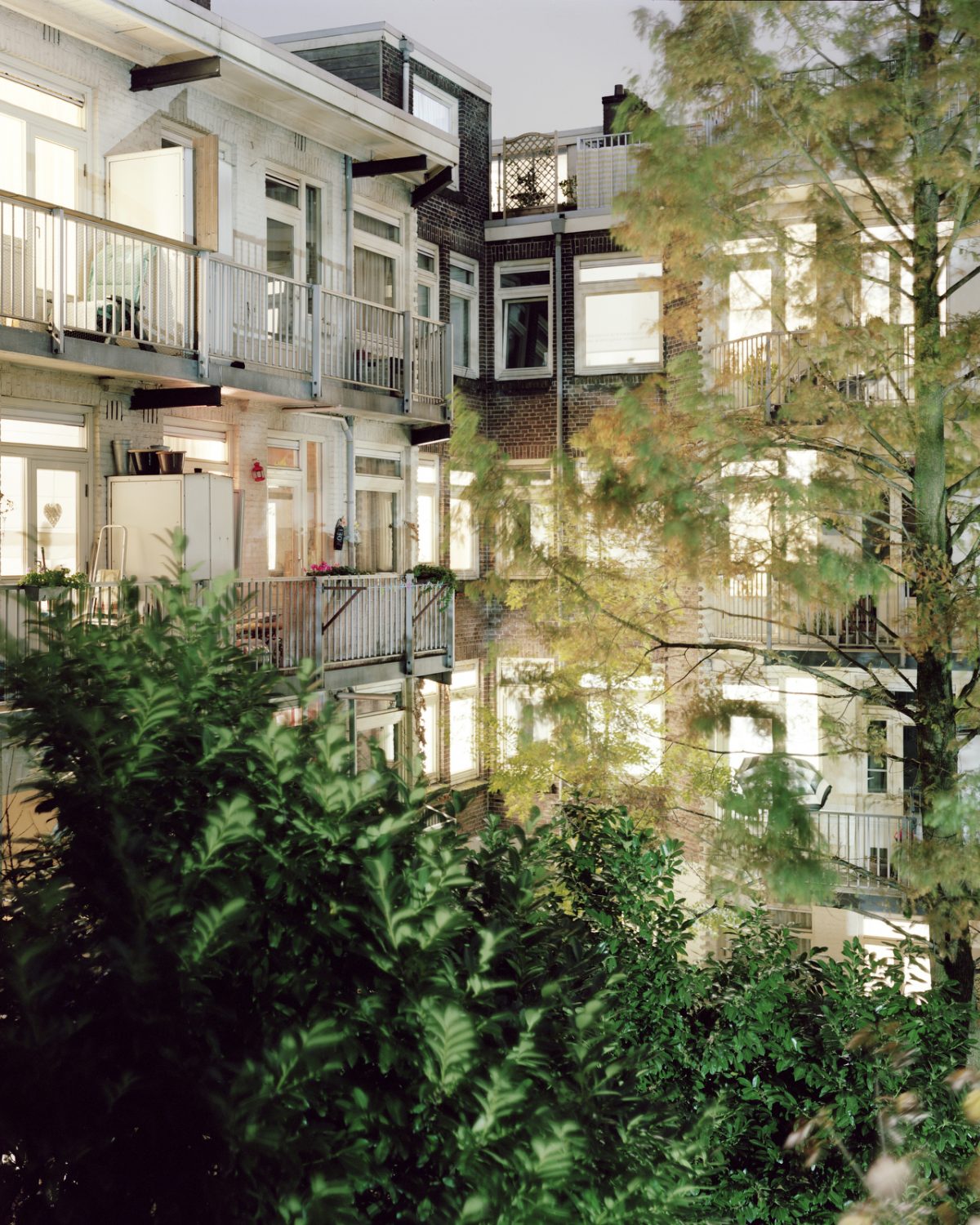Fisheye Magazine | Rear Window