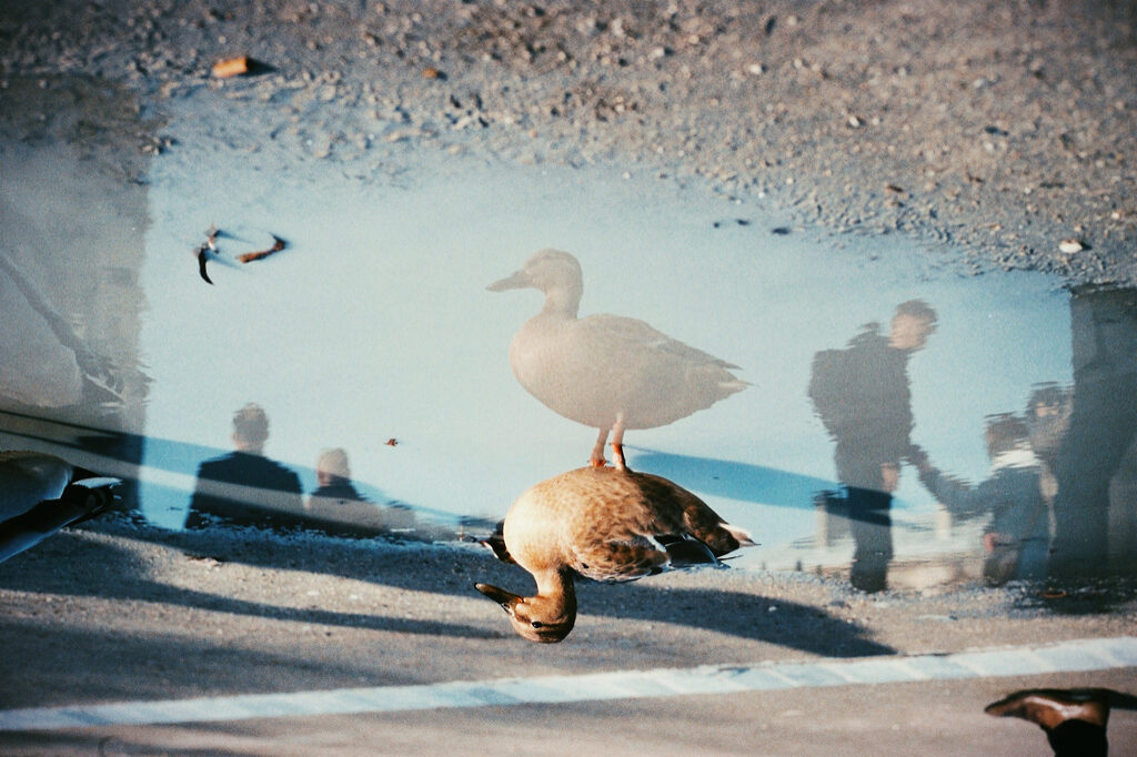 Fisheye Magazine | Paris