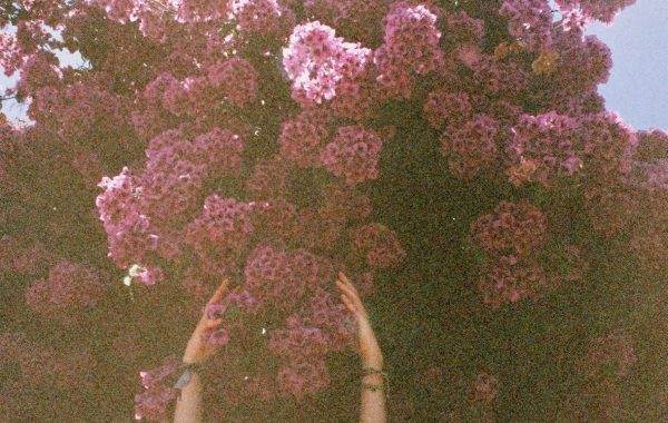Fisheye Magazine | Les échappées belles de Natalie Wardle