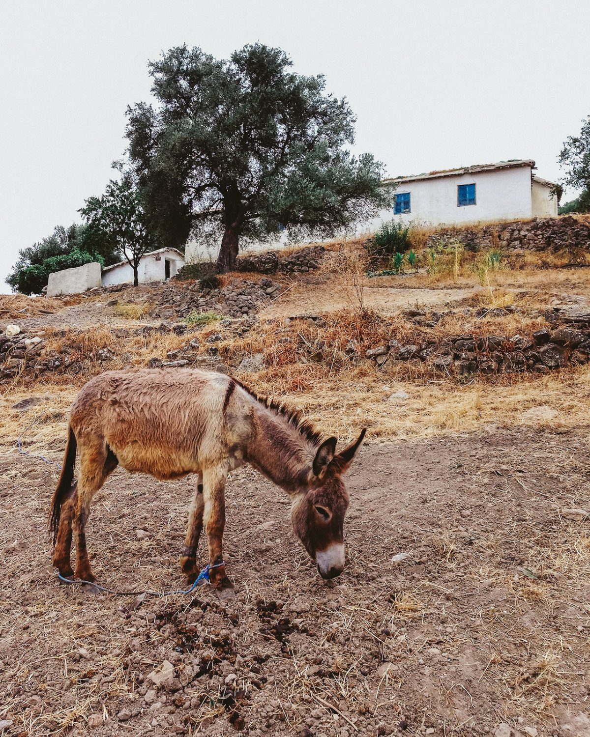 Fisheye Magazine | Morocco