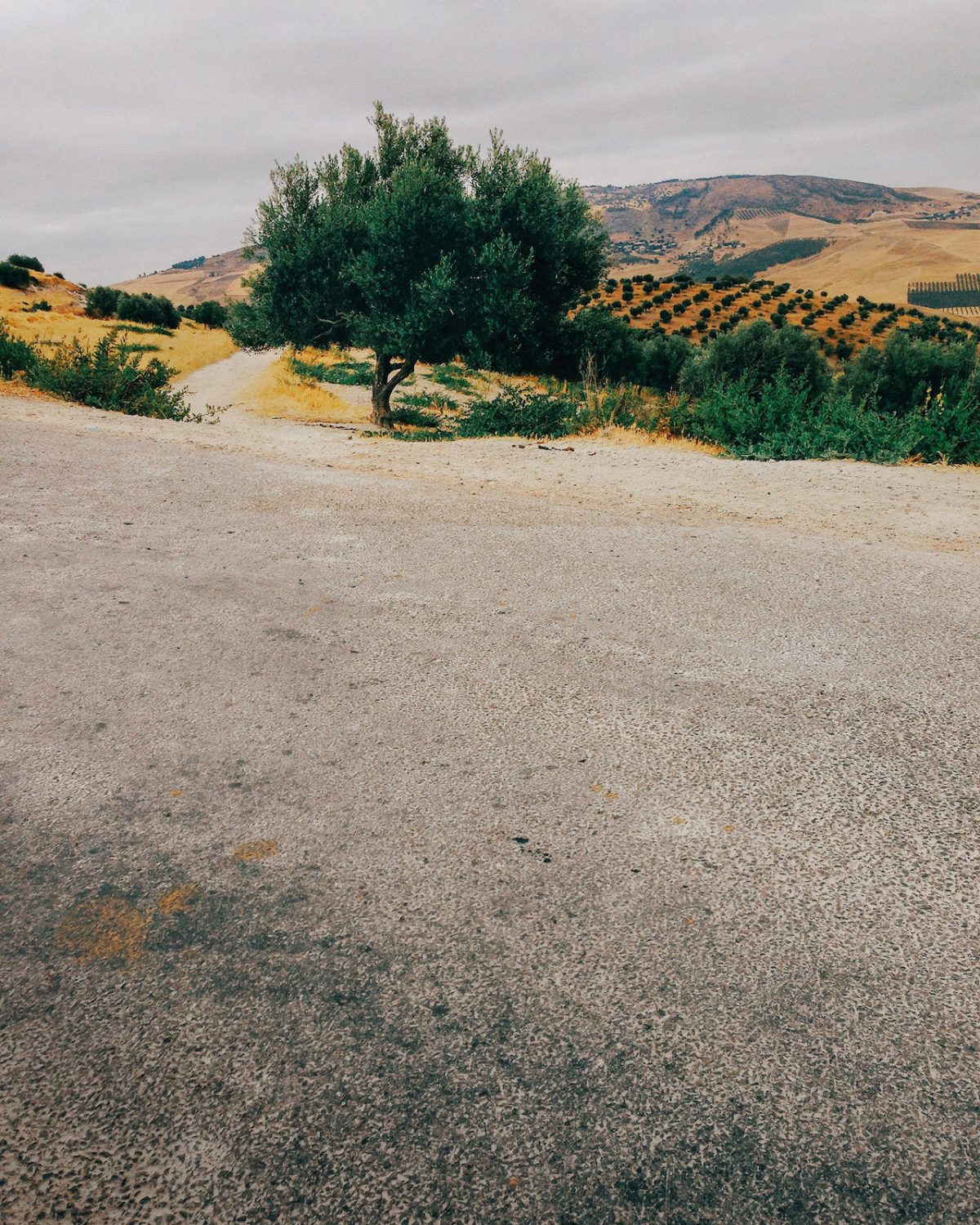 Fisheye Magazine | Morocco