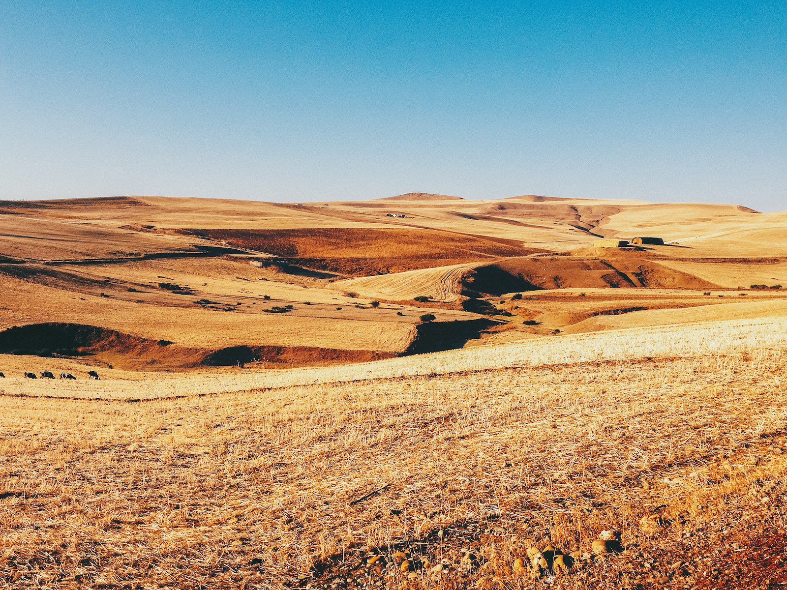 Fisheye Magazine | Morocco