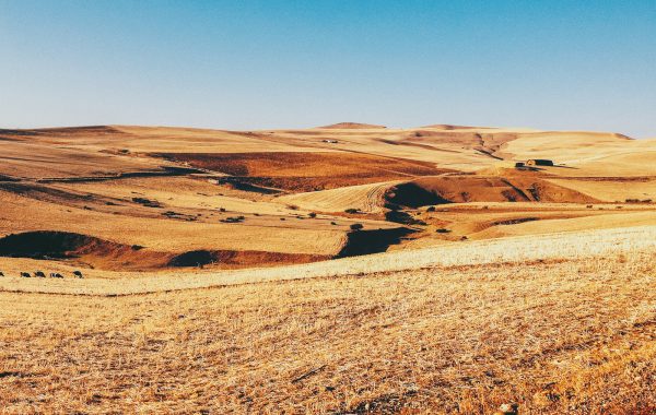 Fisheye Magazine | Morocco