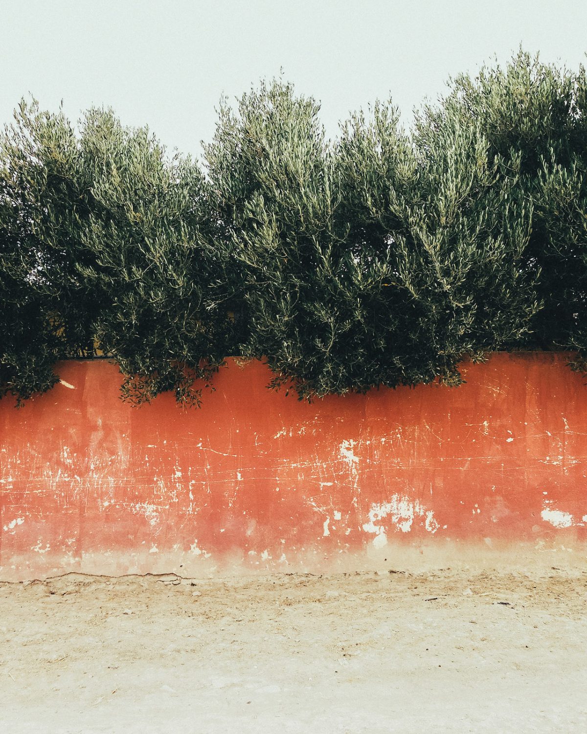 Fisheye Magazine | Morocco