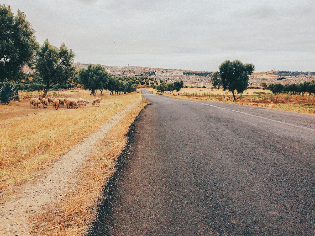 Fisheye Magazine | Morocco