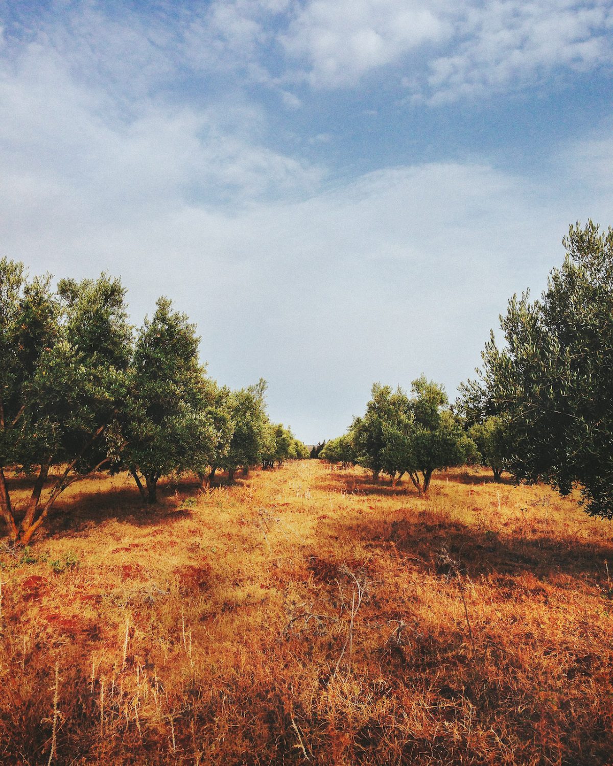 Fisheye Magazine | Morocco