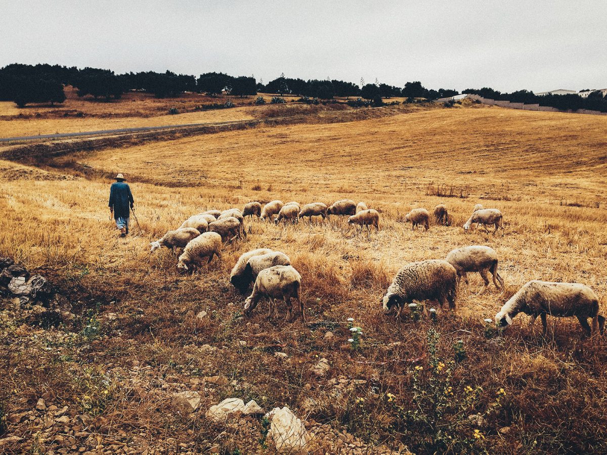 Fisheye Magazine | Morocco