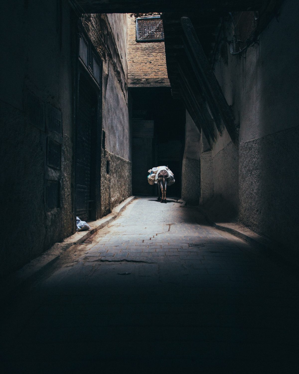 Fisheye Magazine | Morocco
