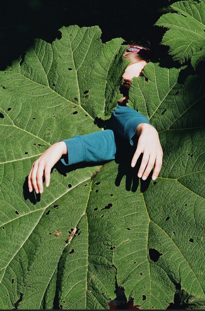 © Thomas van der Zaag