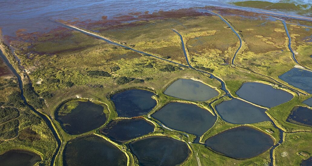 Fisheye Magazine | Littoral, 40 ans de merveilles préservées