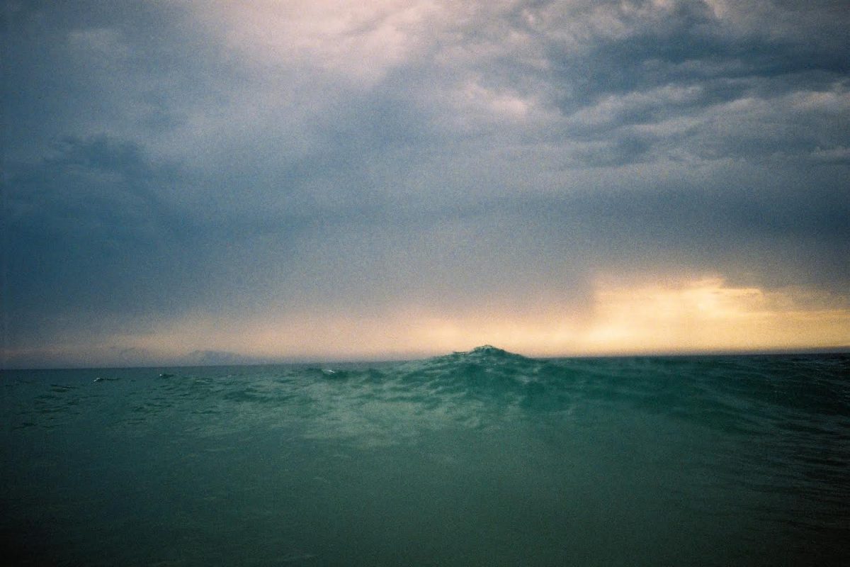 © Joe Nigel Coleman