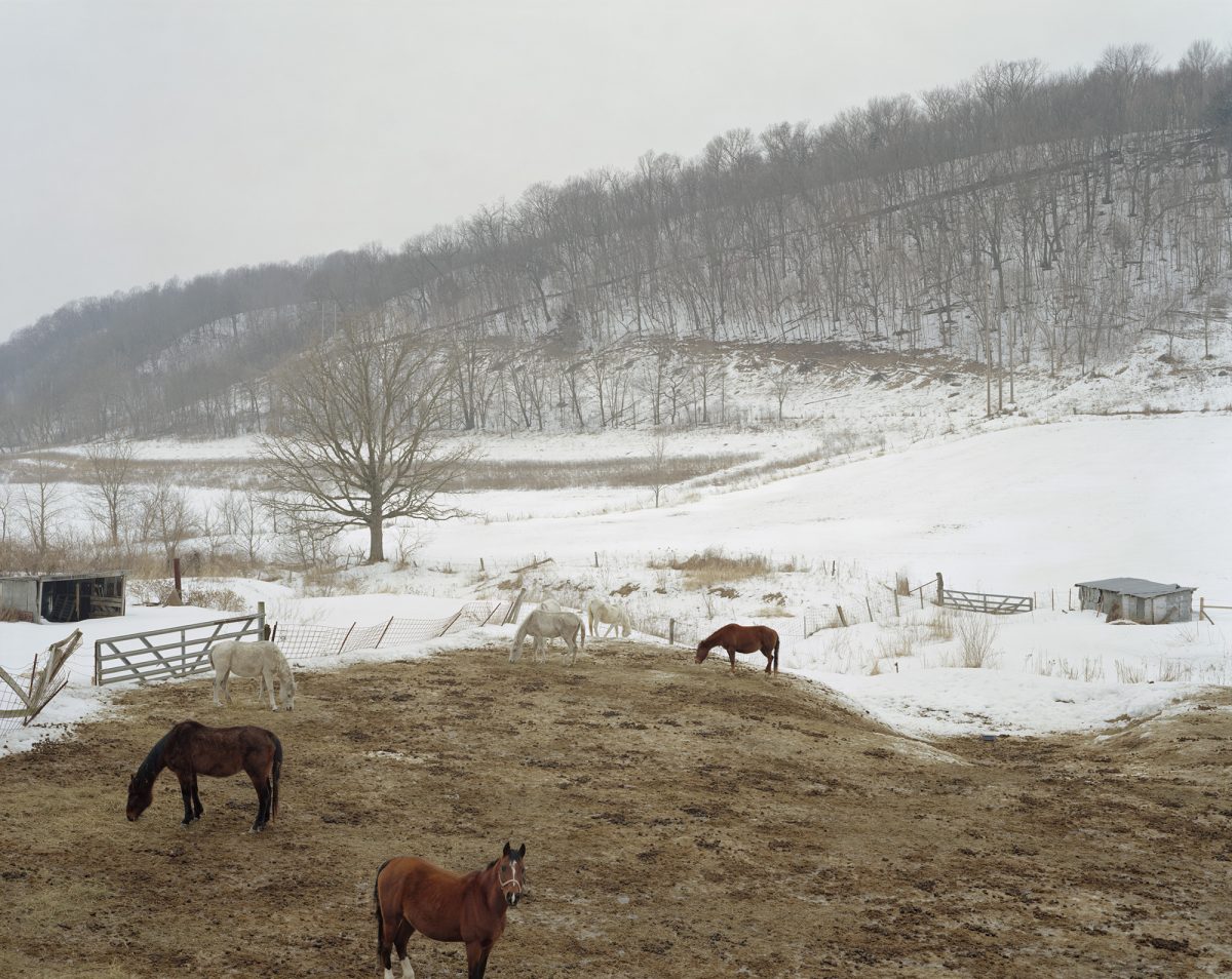 07_Brautigam_On_Wisconsin-Boaz_fisheyelemag