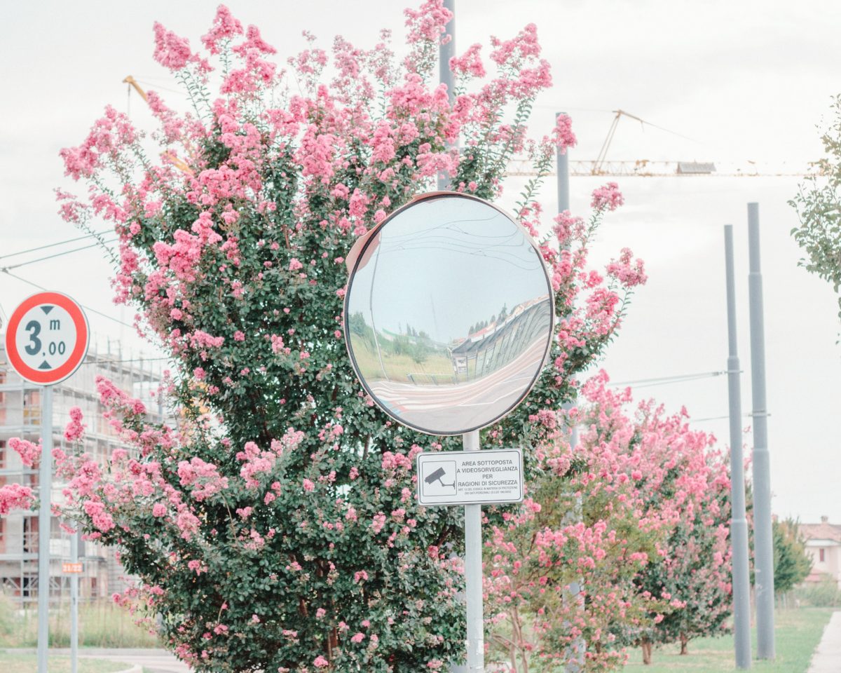 © Alina Trifan
