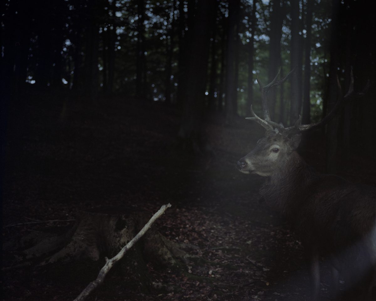 Photo extraite de la série "Indefinitely", © Katrin Koenning 