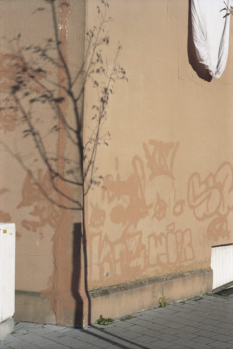 selection-Seeing-a-rainbow-Dries_Segers36-fisheyelemag