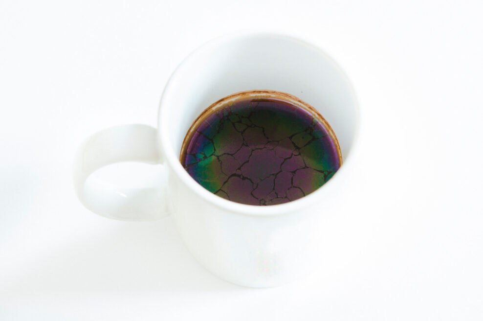 selection-Seeing-a-rainbow-Dries_Segers39-fisheyelemag