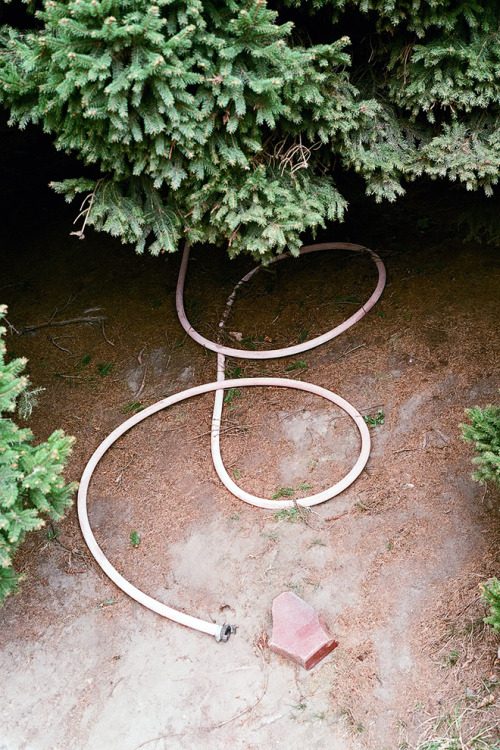 © Ina Niehoff