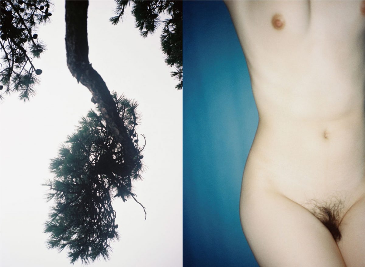 Image tirée de la série "About being" / © Chong chen