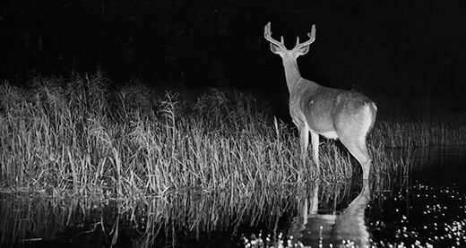 Fisheye Magazine | L'intérieur de la nuit