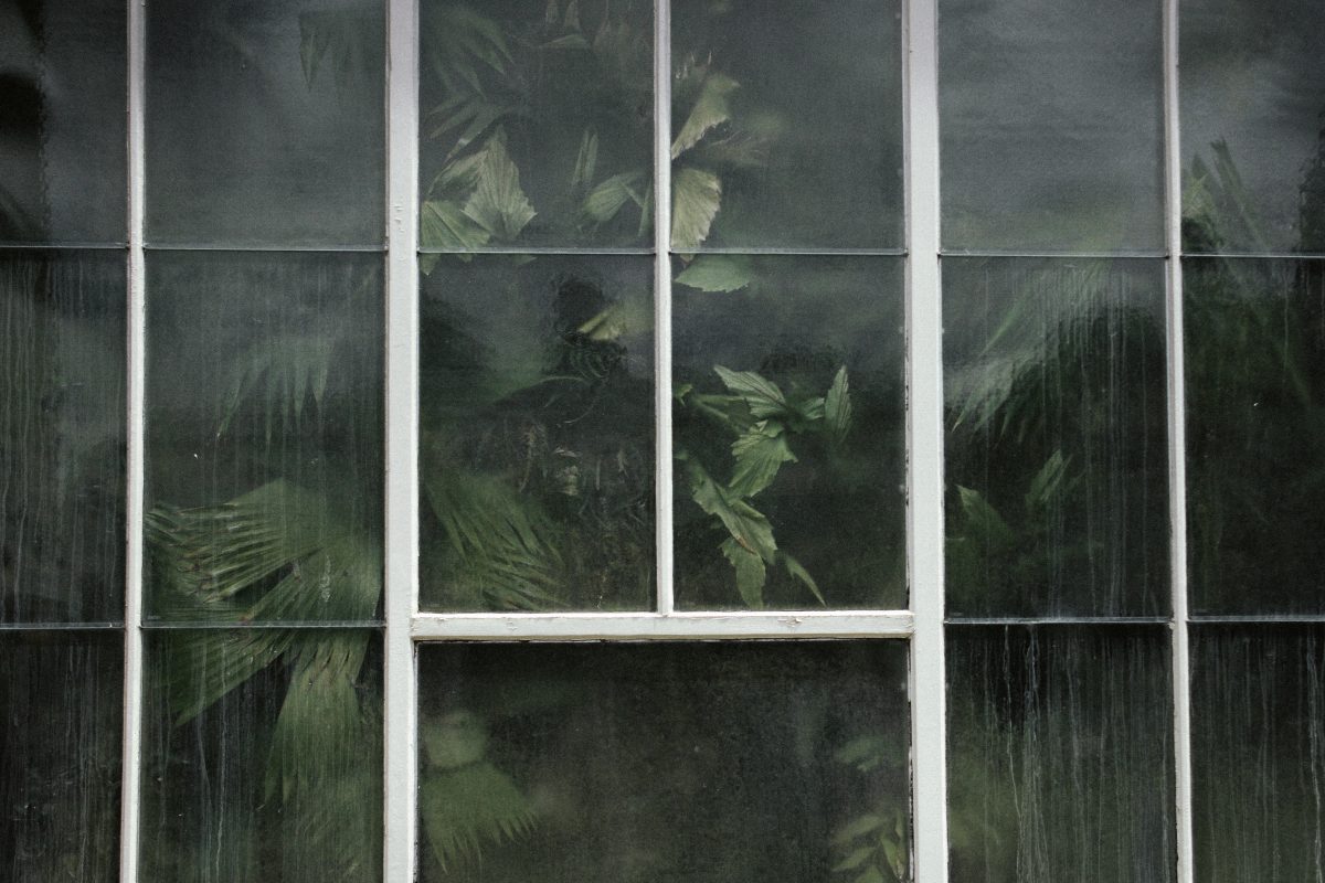 © Dorine Damolfi
