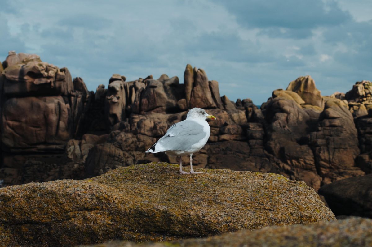 © Julien Lacroix