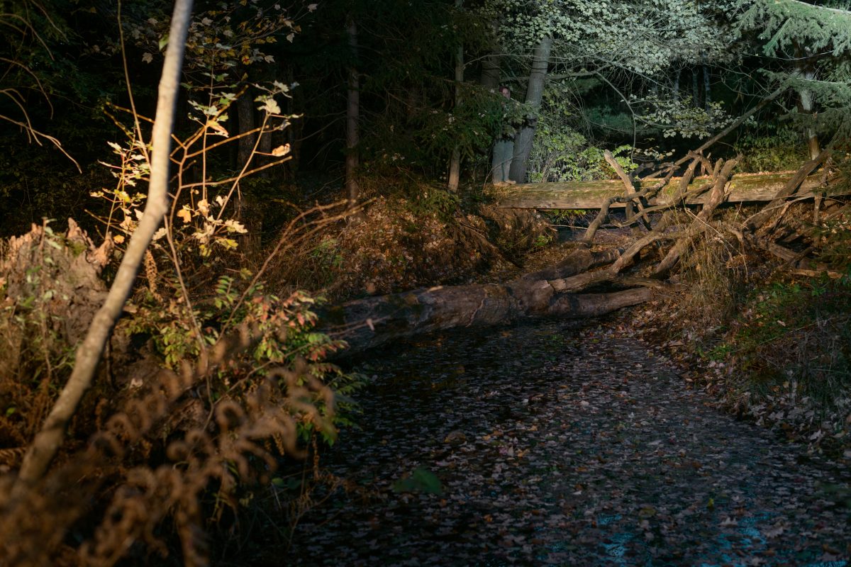 Photo extraite de la série "Below the light / Above the dark " / © Alyssa McDonald