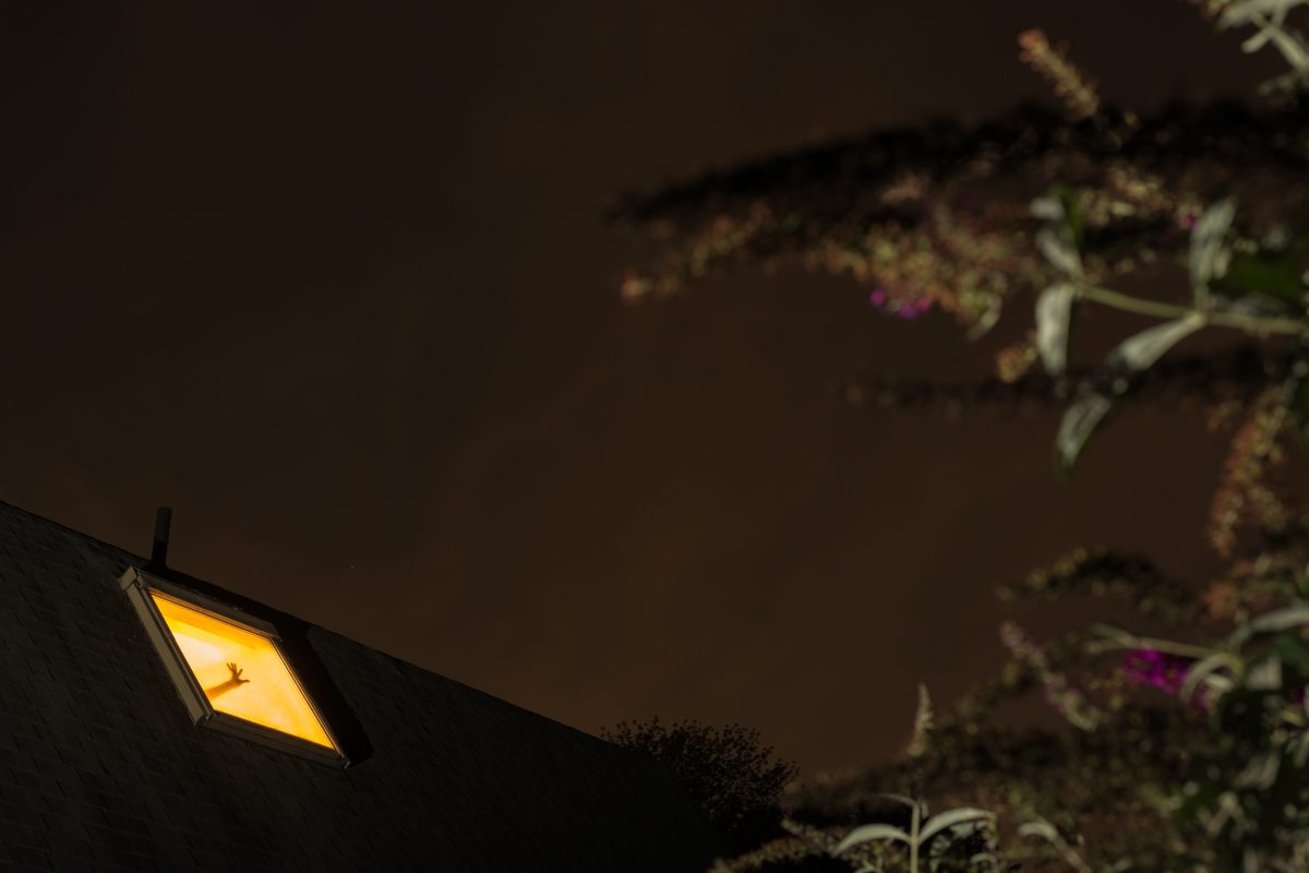 Photo extraite de la série "Below the light / Above the dark " / © Alyssa McDonald
