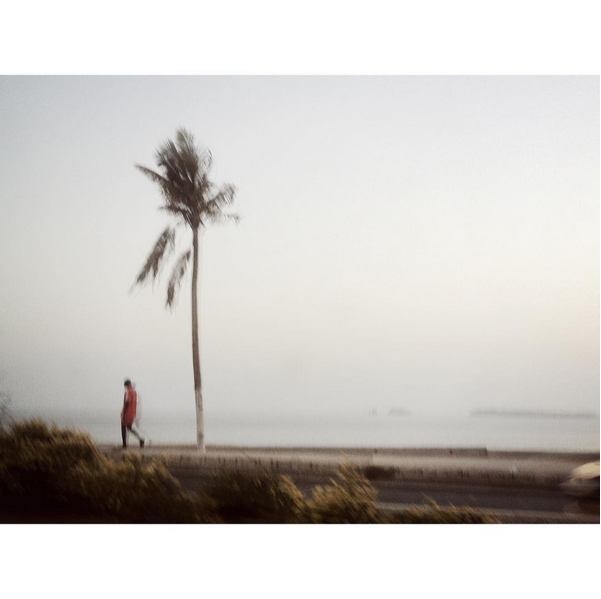 © Arnaud Freitas 