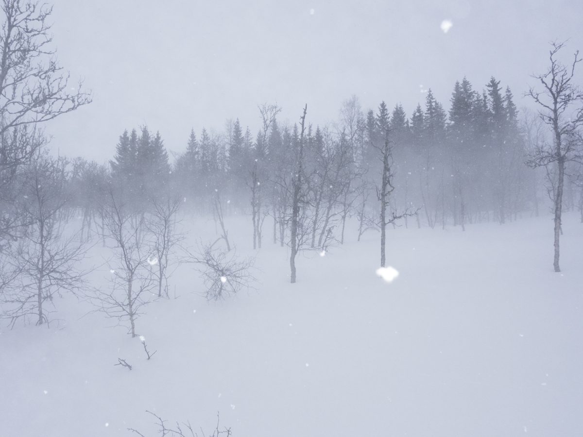 Fisheye Magazine | Il n'y avait pas d'autre issue que le silence