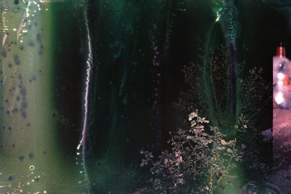 © Chloé Coislier