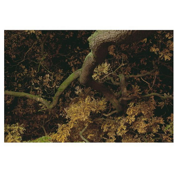 Rickard Grönkvist / Instagram