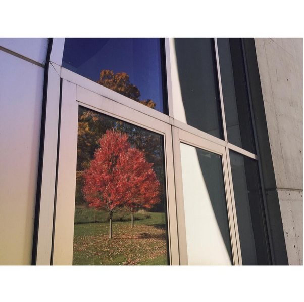 © Trent Davis Bailey / Instagram 