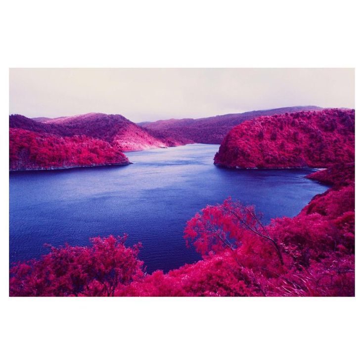 © Tim Flower / Instagram