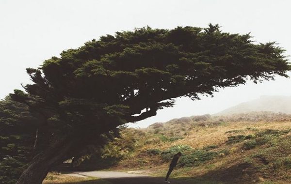 Fisheye Magazine | La sélection Instagram #15