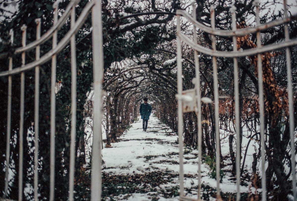 © Guillaume Gaubert / Instagram