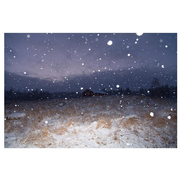 © Isabella Ståhl / Instagram 